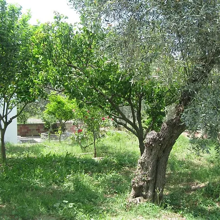 Pefkos Skopelos Town
