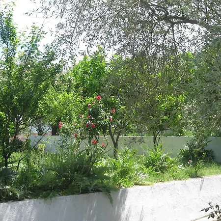 Apartamento Pefkos *