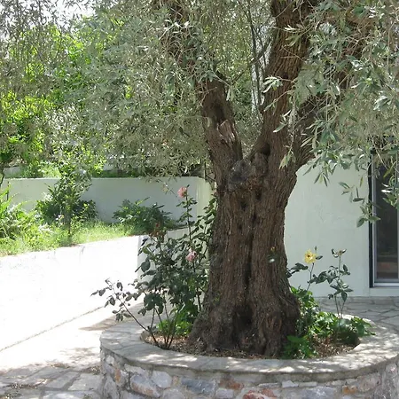 Pefkos Apartamento Skopelos Town
